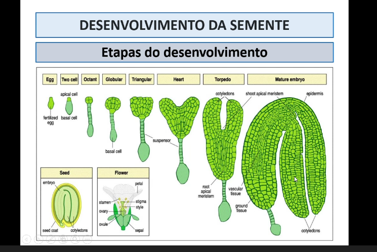 Pasted image 20251128191928.png|center